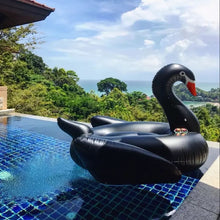 Ladda upp bild till gallerivisning, Uppblåsbar jättesvan "Black Swan" 190 cm för att göra intryck i poolen eller på stranden.
